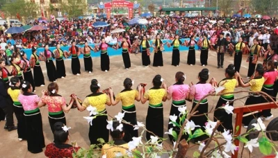 越南山罗省傣族洋紫荆花节在山罗市举行